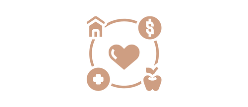 Health Insurance icon