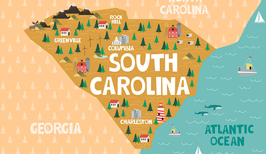 Forklift Service | Material Handling Company | Carolina Handling