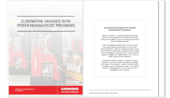 Sample of the whitepaper document